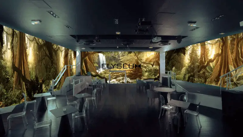 La Jungle Décor Animé